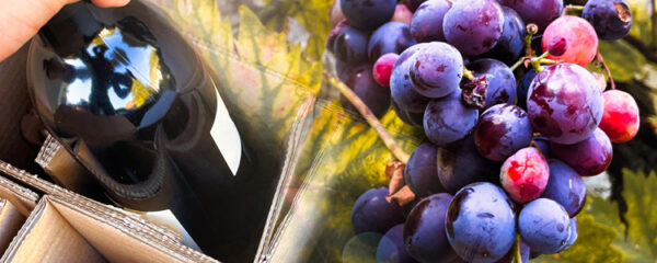 offrir du vin